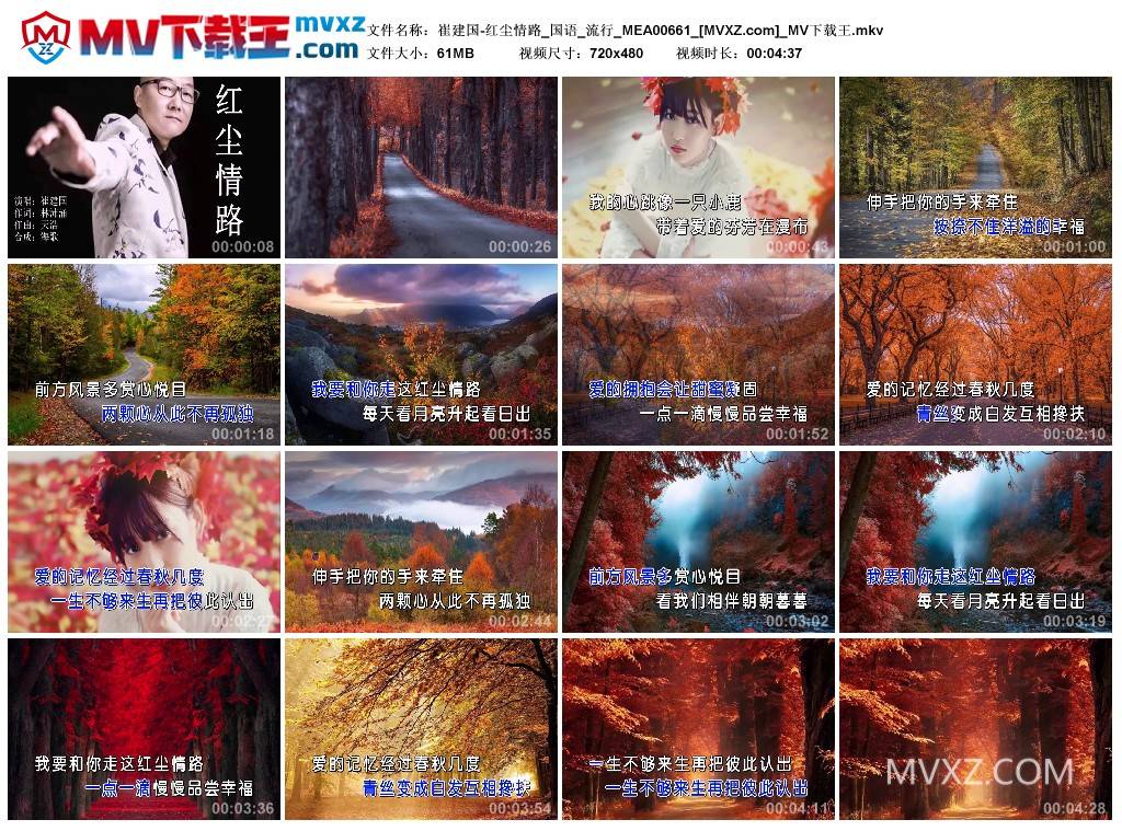 崔建国-红尘情路_国语_流行_MEA00661